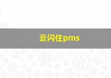 云闪住pms