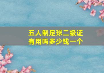 五人制足球二级证有用吗多少钱一个