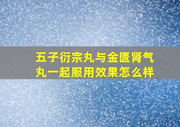 五子衍宗丸与金匮肾气丸一起服用效果怎么样