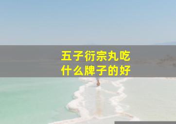 五子衍宗丸吃什么牌子的好