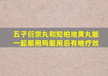 五子衍宗丸和知柏地黄丸能一起服用吗服用后有啥疗效