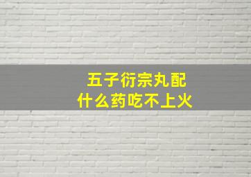 五子衍宗丸配什么药吃不上火