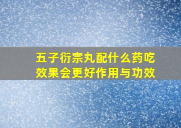 五子衍宗丸配什么药吃效果会更好作用与功效