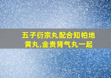 五子衍宗丸配合知柏地黄丸,金贵肾气丸一起