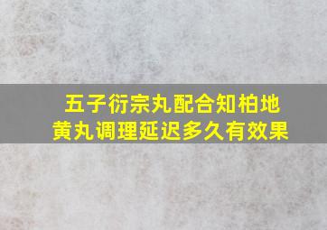 五子衍宗丸配合知柏地黄丸调理延迟多久有效果