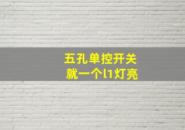 五孔单控开关就一个l1灯亮