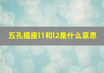 五孔插座l1和l2是什么意思