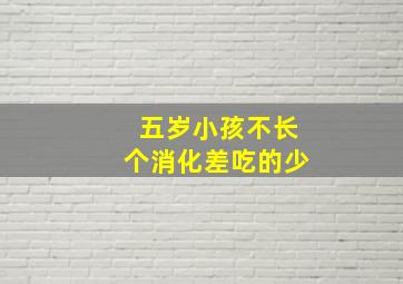 五岁小孩不长个消化差吃的少