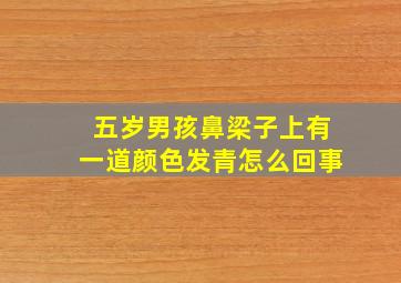 五岁男孩鼻梁子上有一道颜色发青怎么回事