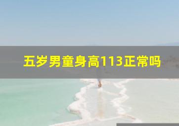 五岁男童身高113正常吗