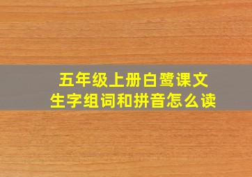 五年级上册白鹭课文生字组词和拼音怎么读