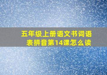 五年级上册语文书词语表拼音第14课怎么读