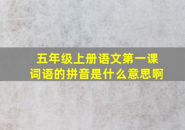 五年级上册语文第一课词语的拼音是什么意思啊