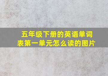 五年级下册的英语单词表第一单元怎么读的图片