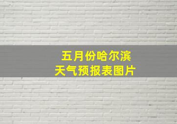 五月份哈尔滨天气预报表图片