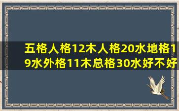 五格人格12木人格20水地格19水外格11木总格30水好不好