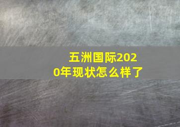 五洲国际2020年现状怎么样了