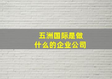 五洲国际是做什么的企业公司