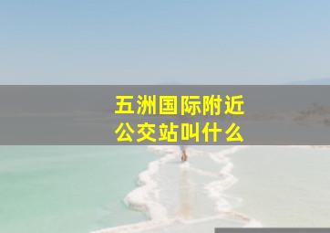 五洲国际附近公交站叫什么