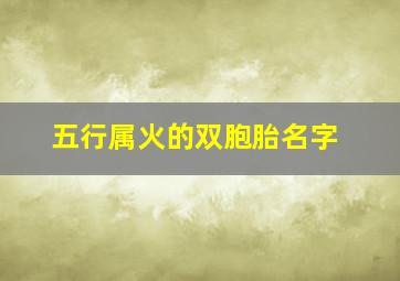 五行属火的双胞胎名字