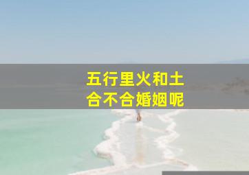 五行里火和土合不合婚姻呢