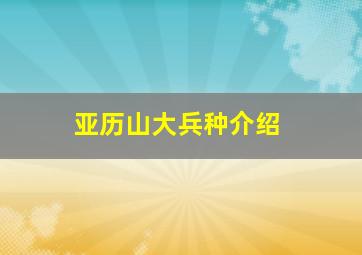 亚历山大兵种介绍