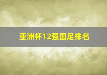 亚洲杯12强国足排名