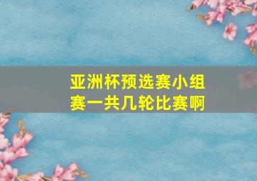 亚洲杯预选赛小组赛一共几轮比赛啊