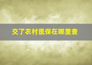 交了农村医保在哪里查