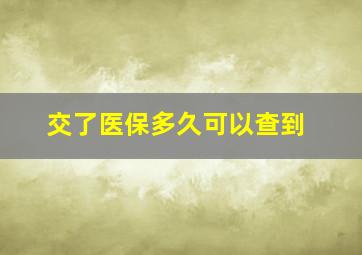 交了医保多久可以查到