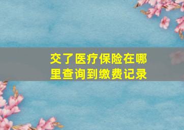 交了医疗保险在哪里查询到缴费记录