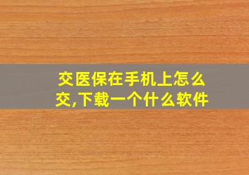 交医保在手机上怎么交,下载一个什么软件