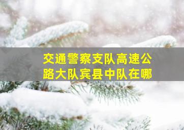 交通警察支队高速公路大队宾县中队在哪