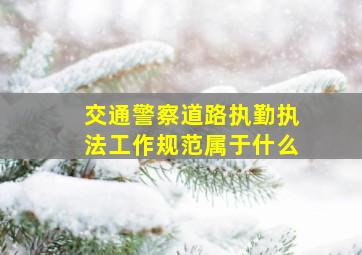 交通警察道路执勤执法工作规范属于什么