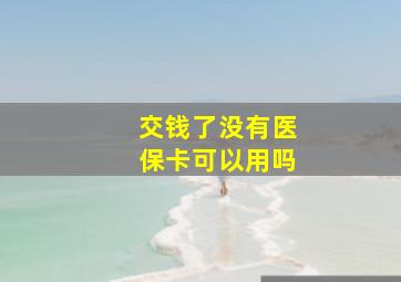 交钱了没有医保卡可以用吗