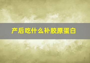 产后吃什么补胶原蛋白