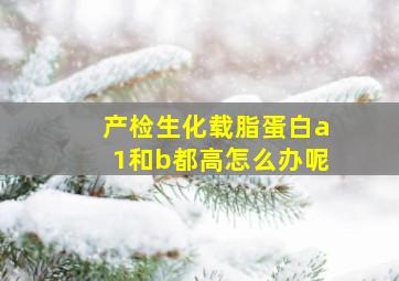 产检生化载脂蛋白a1和b都高怎么办呢