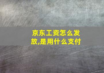 京东工资怎么发放,是用什么支付