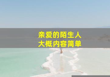 亲爱的陌生人大概内容简单