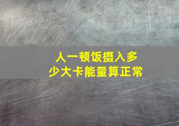 人一顿饭摄入多少大卡能量算正常