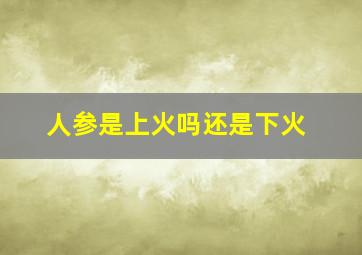 人参是上火吗还是下火