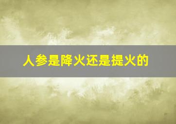 人参是降火还是提火的