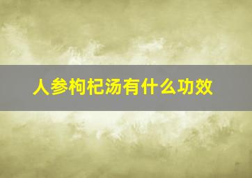 人参枸杞汤有什么功效