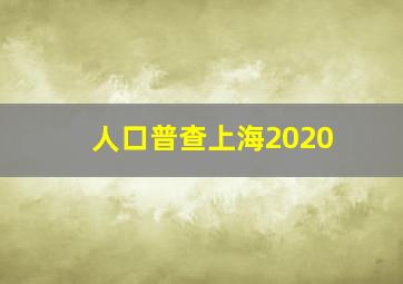 人口普查上海2020