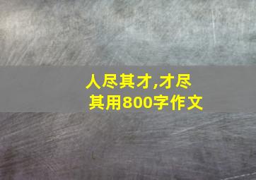 人尽其才,才尽其用800字作文