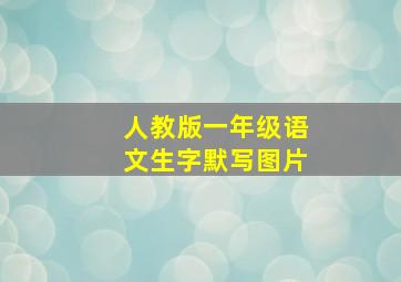 人教版一年级语文生字默写图片