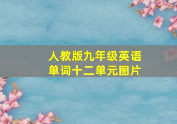 人教版九年级英语单词十二单元图片