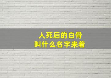 人死后的白骨叫什么名字来着