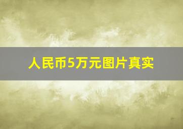 人民币5万元图片真实