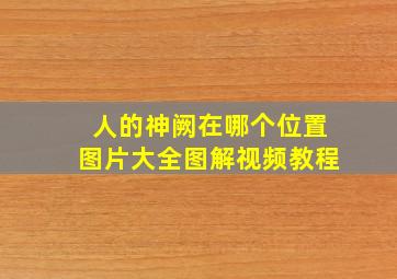 人的神阙在哪个位置图片大全图解视频教程